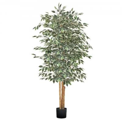 6ft Ficus Tree Artificial Plant with Lifelike Green Leaves and Flexible Branches for Home Decor - 34.65 x 34.65 x 72.83 in