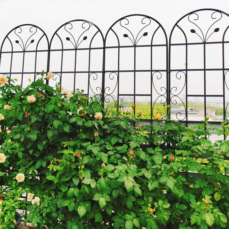2 Pack Metal Garden Trellis 86.7" x 19.7" Rustproof Trellis for Climbing Plants Outdoor Flower Support