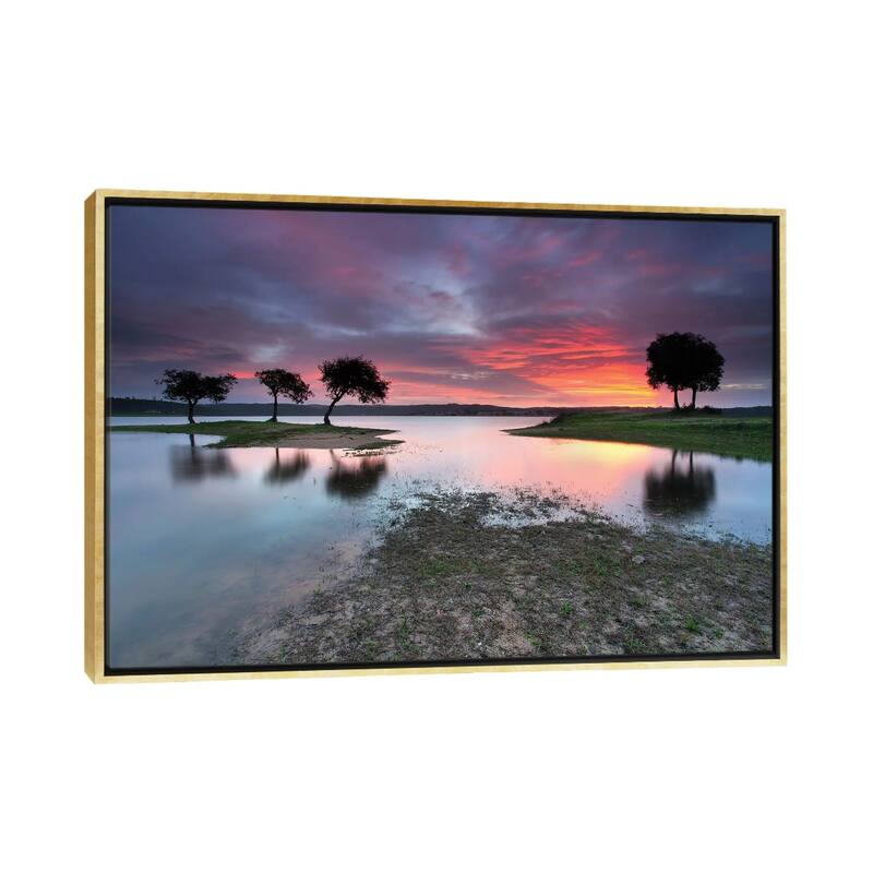 iCanvas "The Blessing Of The Sun" by Rui David Framed - Gold - 18x26