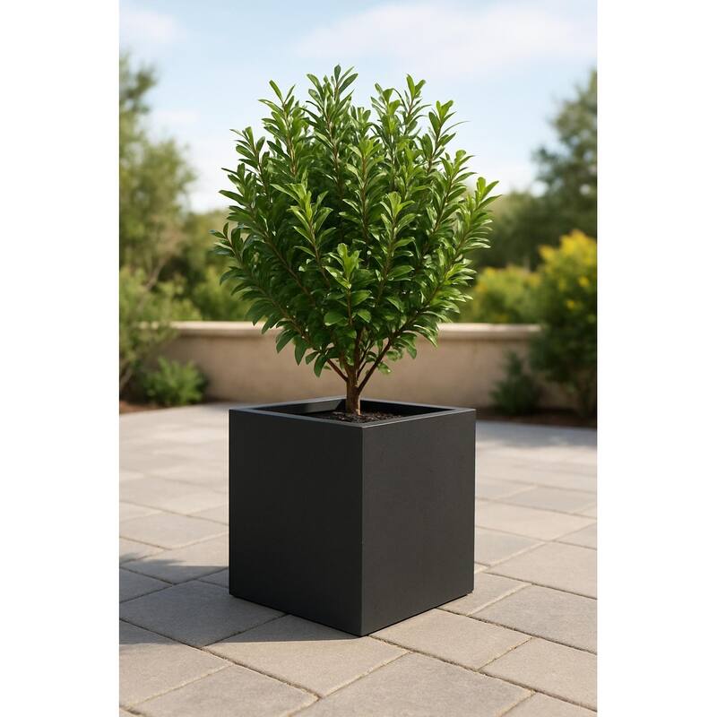 Grigio XL Cube Planter 19.75"W x 19.75"H Fiberglass Stone Resin, Lightweight, Frost & UV Resistant - 15.75"W x 15.75"H