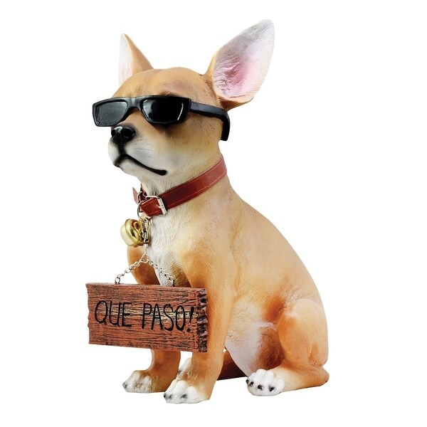 chihuahua sunglasses