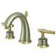 Option Brushed Nickel/Polished Brass