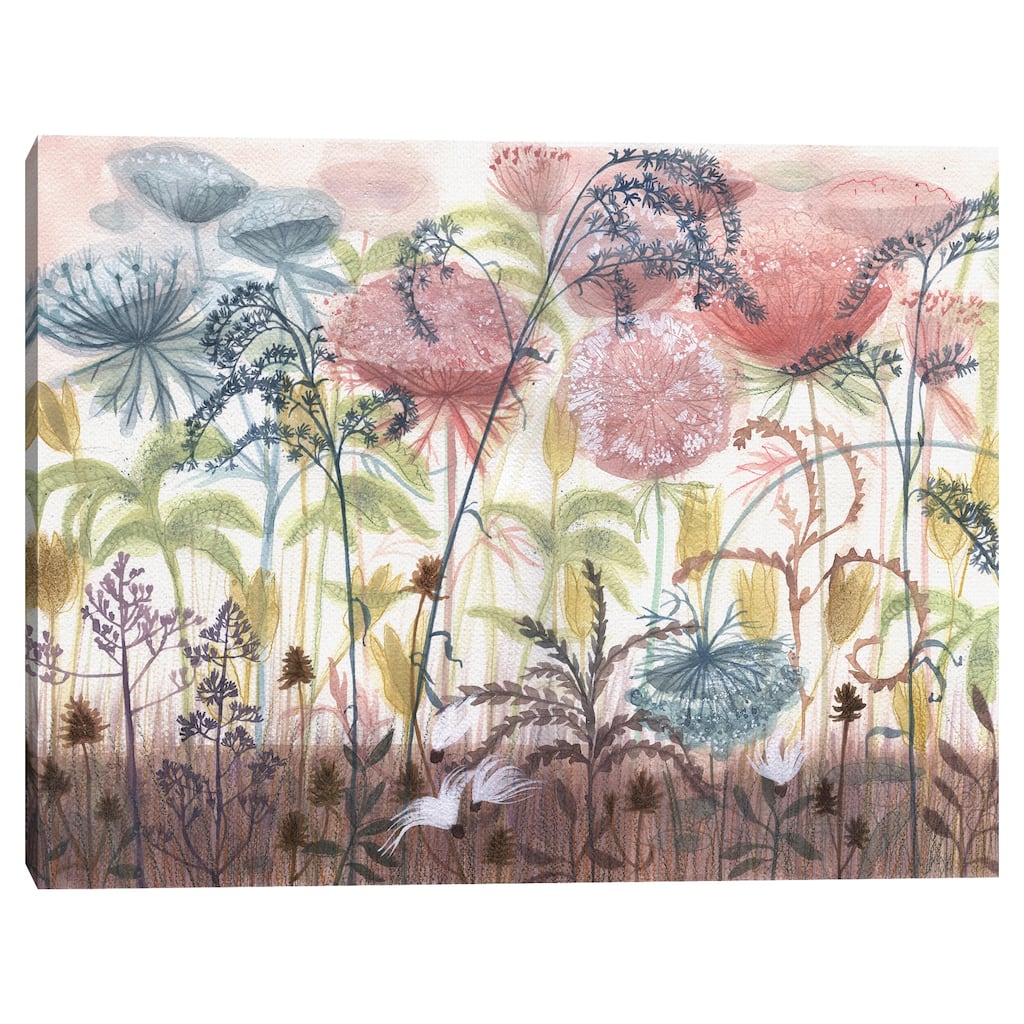 Queen Annes Lace by Maret Hensick Canvas Art Print