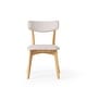 preview thumbnail 67 of 76, Chazz Mid Century Upholstered Dining Chairs (Set of 2) by Christopher Knight Home