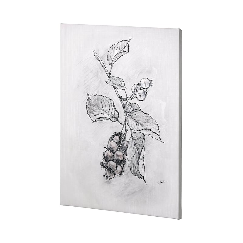 Wildberry Collection Saskatoonberry (36 x 48) Canvas Art Print