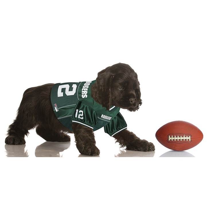 aaron rodgers dog jersey