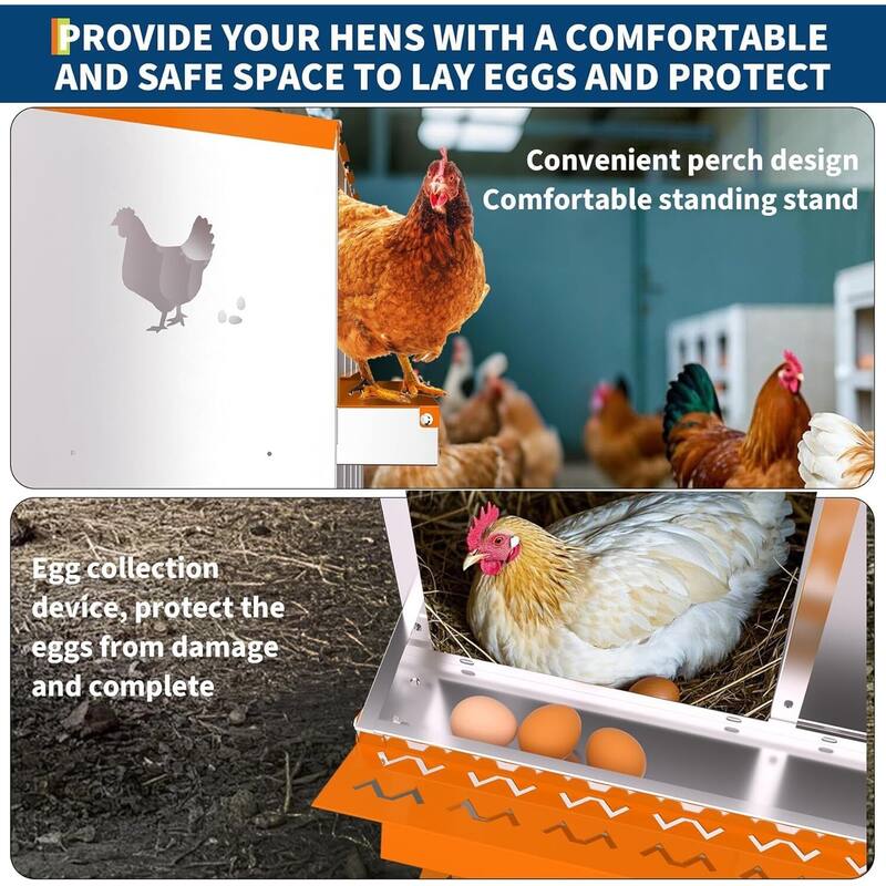 8 Compartment Metal Chicken Nesting Box, Laying Box for Hens Ducks Rabbits, Orange