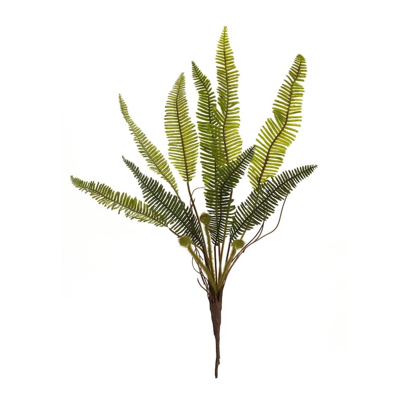 Fern Plant (Set of 6)