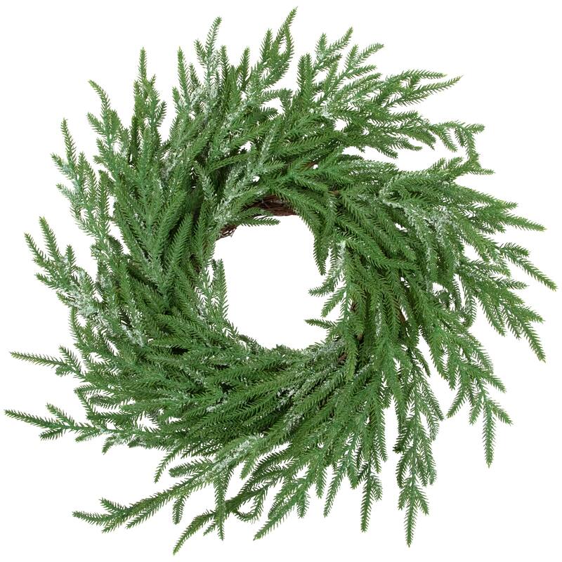 Frosted Norfolk Pine Artificial Christmas Wreath - 20" - Unlit