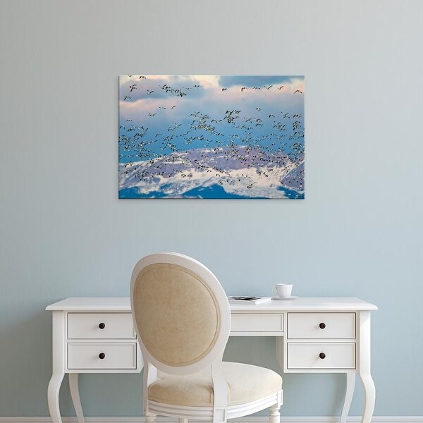 Easy Art Prints Chuck Haney's 'Snow Geese During Spring Migration' Premium Canvas Art