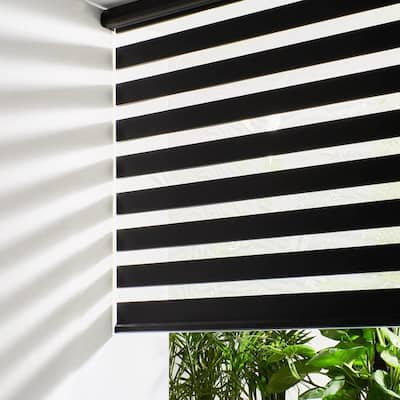 Cordless Zebra Blinds for Windows Free-Stop Roller Windows Shades - 35" W X 64" H