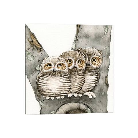 iCanvas "Three Owls" by Tracy Lizotte Canvas Print