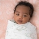 preview thumbnail 24 of 24, aden+anais essentials 2-Pack 100% Cotton Muslin Swaddle Blankets