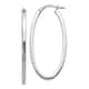 Option White Gold