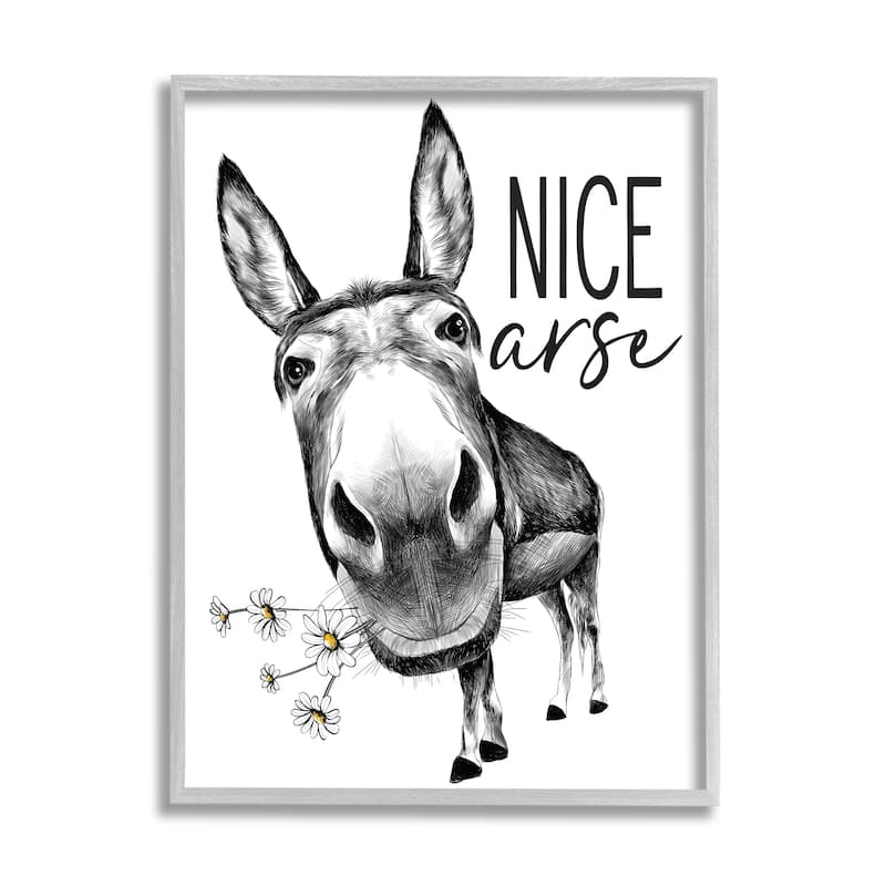 Stupell Nice Funny Donkey Pun White Daisey Flowers Framed Wall Art - 24 x 30 - Grey