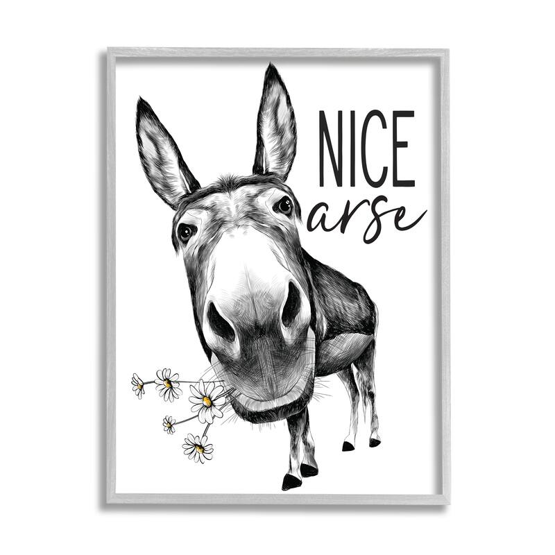 Stupell Nice Funny Donkey Pun White Daisey Flowers Framed Wall Art