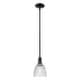 preview thumbnail 18 of 32, Innovations Lighting Endless Possibilities Arcadia - Castile - 1 Light 6" Stem Hung Mini Pendant Clear/Matte Black