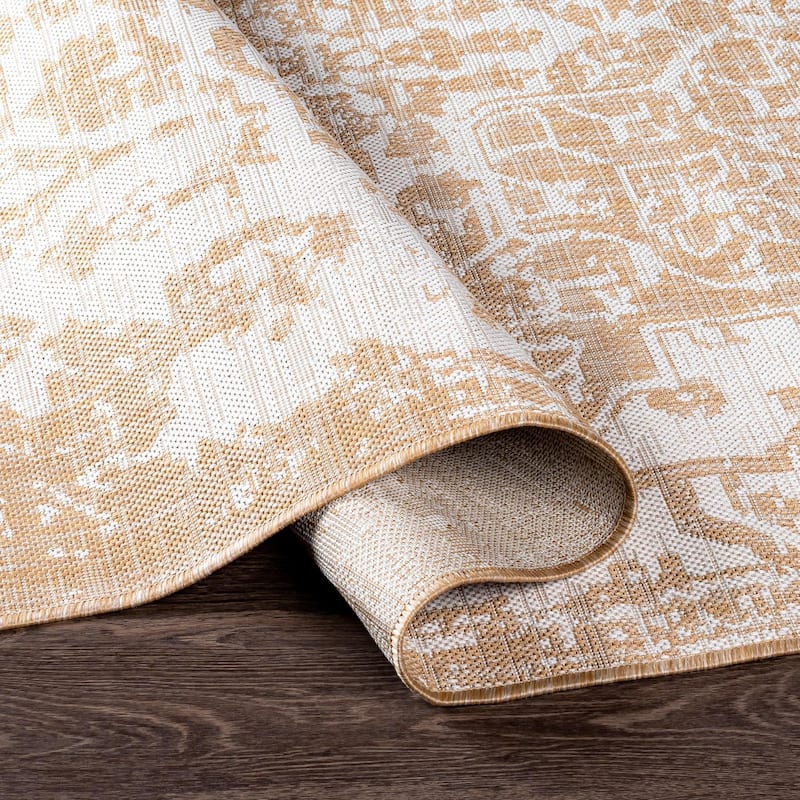 Livabliss Eagean Updated Traditional Medallion Indoor / OutdoorArea Rug