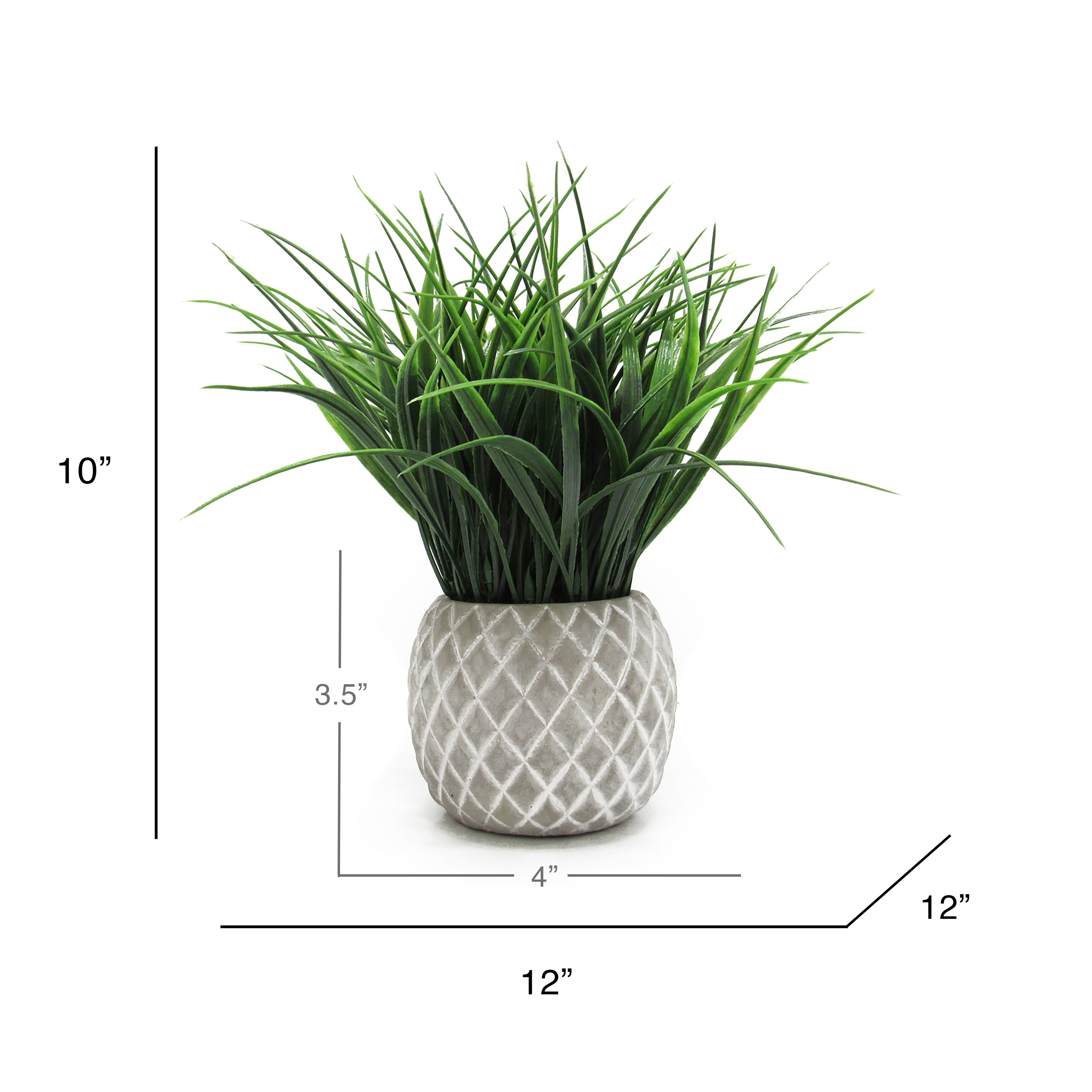 Wheat Grass Plant Arrangement in Round Clay Pot 10in - 10" H x 12" W x 12" DP
