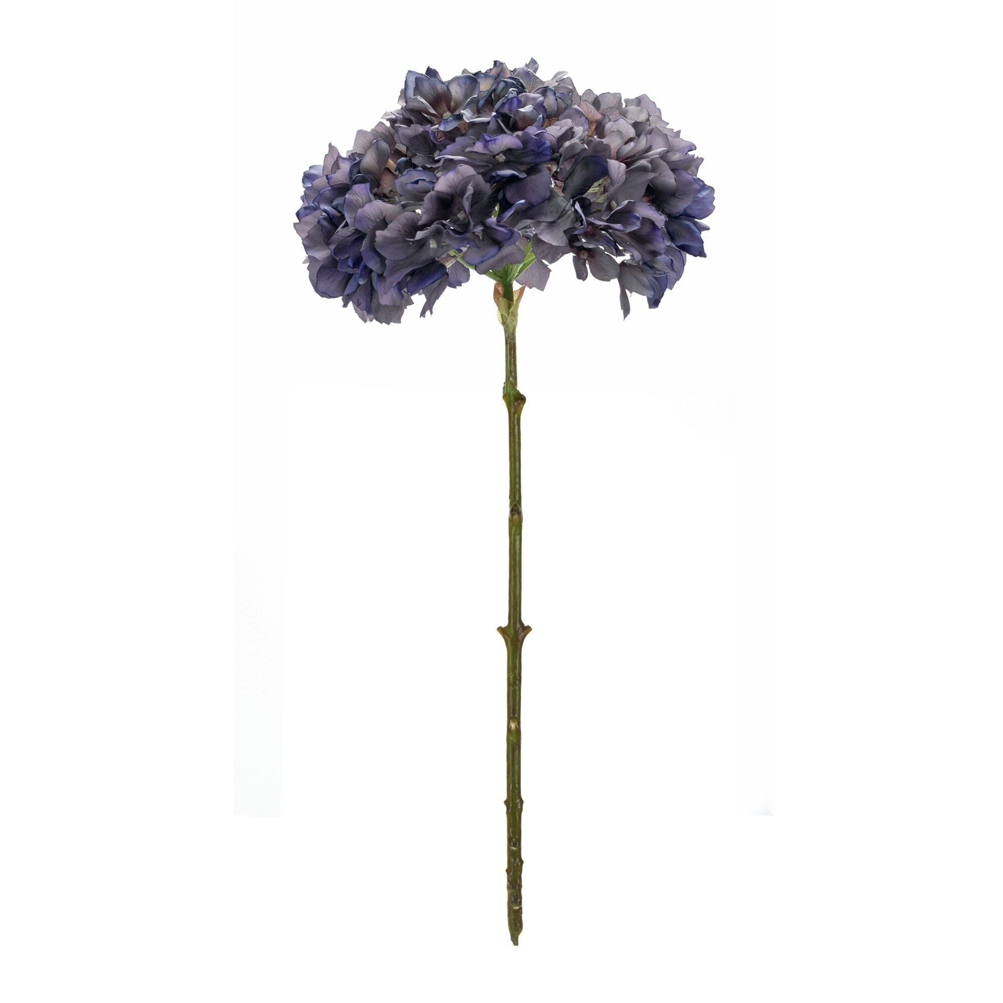 Hydrangea Stem (Set of 6) - 7.75 x 7.75 x 19 - Bed Bath