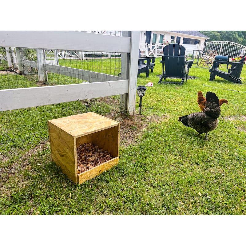 Zylina Best Rest Single Nesting Box - N/A - 12x13x13