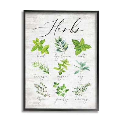 Stupell Kitchen Herb Reference Chart Garden Fresh Home Seasoning Framed Wall Art