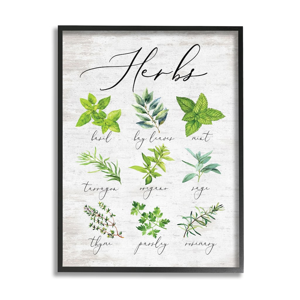 Stupell Kitchen Herb Reference Chart Garden Fresh Home Seasoning Framed Wall Art