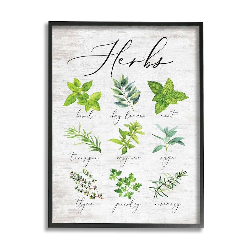 Stupell Kitchen Herb Reference Chart Garden Fresh Home Seasoning Framed Wall Art