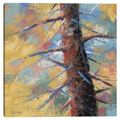 Colorful Conifer by John Burrows Canvas Art Print