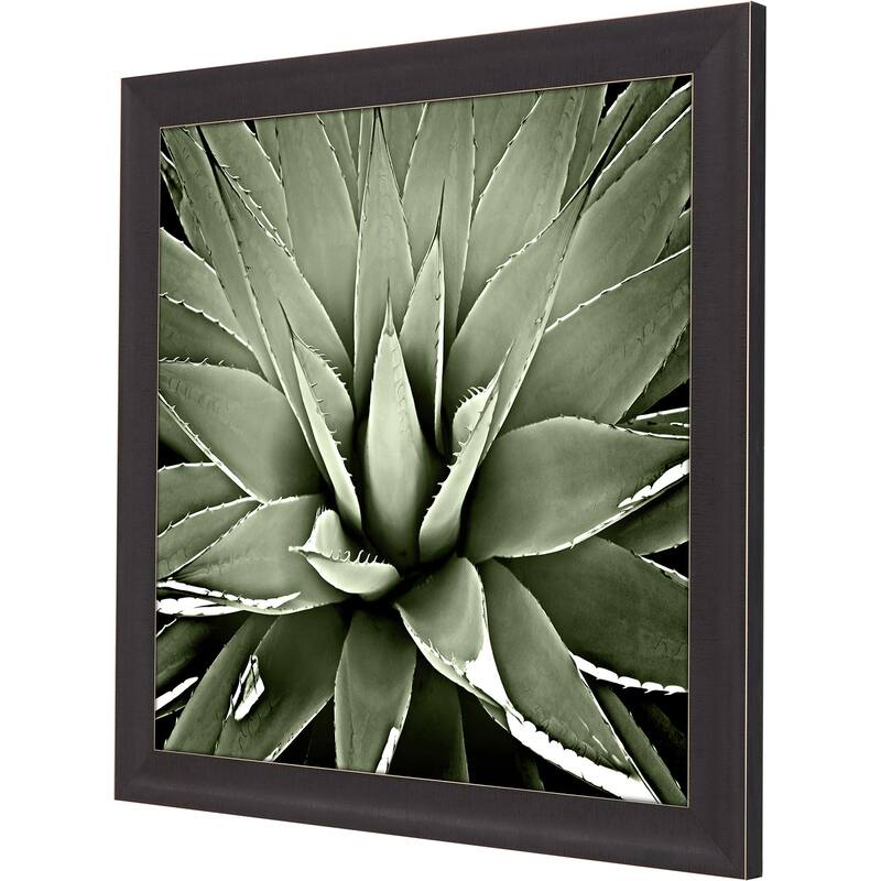Green Succulent III Framed Art Giclee Under Glass
