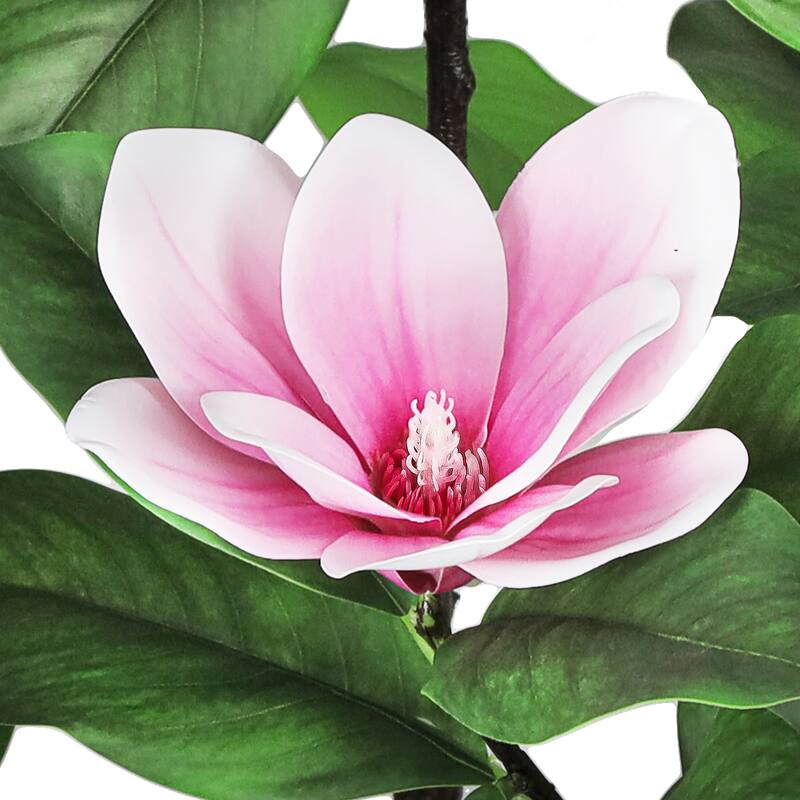 6ft Real Touch Pink Artificial Magnolia Flower Tree in Black Pot - 72" H x 27" W x 27" DP