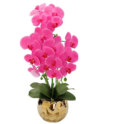 Pink Orchid plant in Round gold Design vase