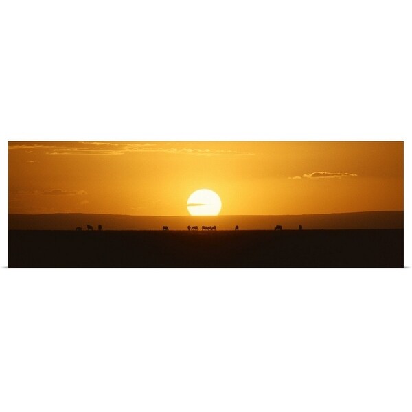 "Animal caravan at sunset" Poster Print