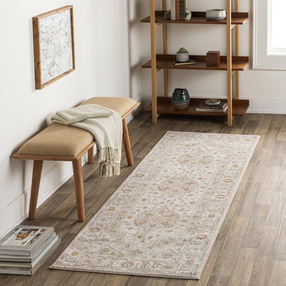 Livabliss Avant Garde Traditional Area Rug