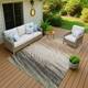 Option Fern