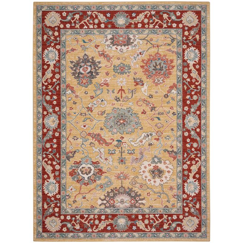 Nourison Parisa Traditional Bordered Area Rug