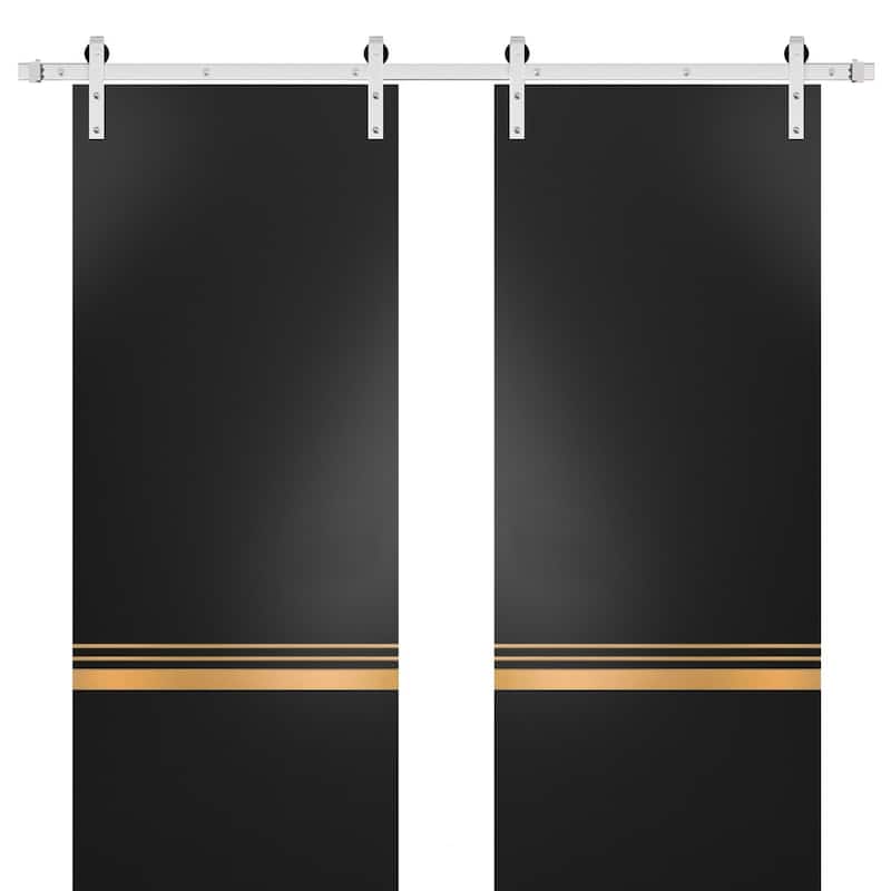 Sturdy Double Barn Door 36 x 80 with Planum 2010 Matte Black with 13FT - Black - 84" x 80" ( 2* 42x80)