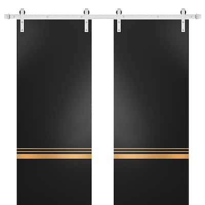 Sturdy Double Barn Door 36 x 80 with Planum 2010 Matte Black with 13FT