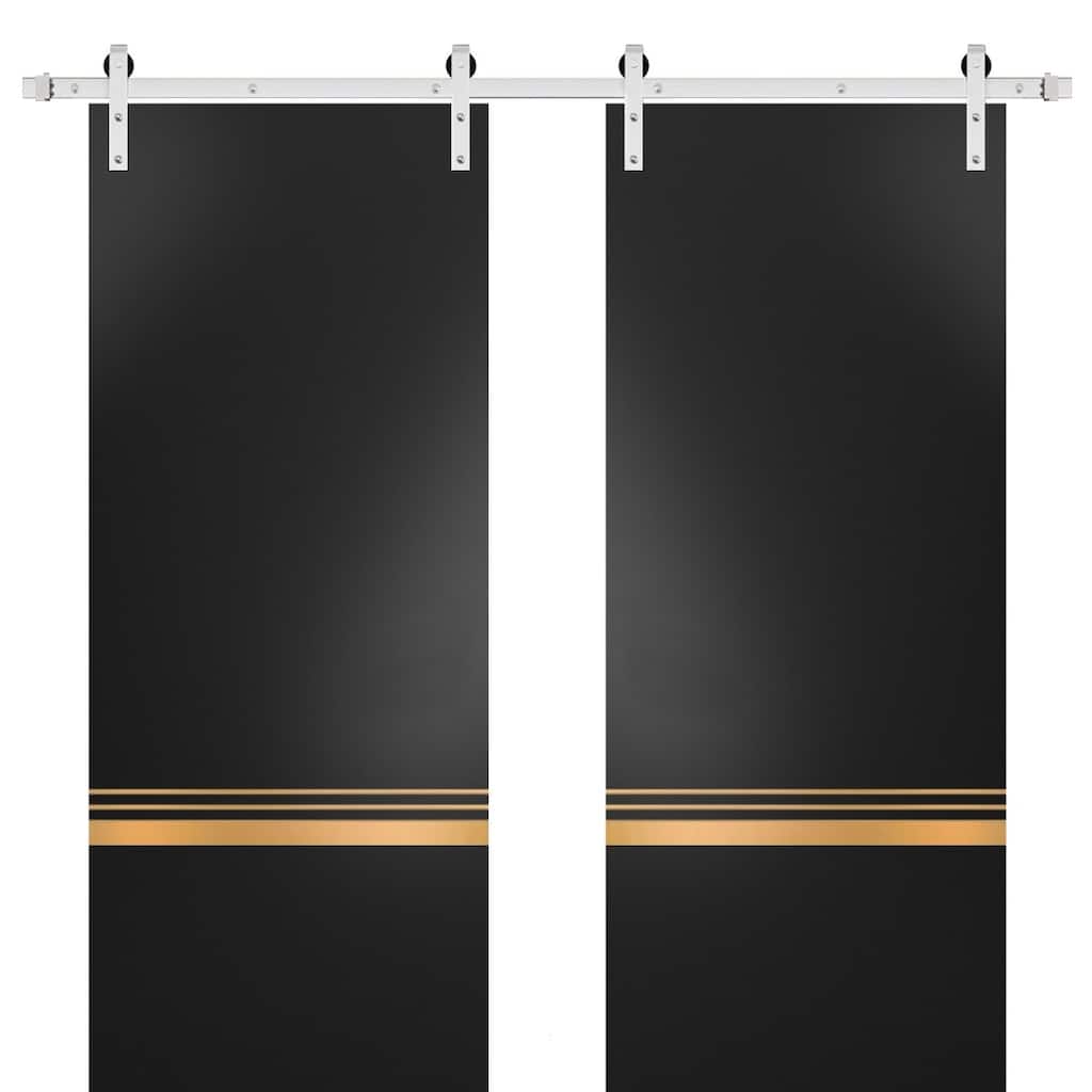 Sturdy Double Barn Door 36 x 80 with Planum 2010 Matte Black with 13FT