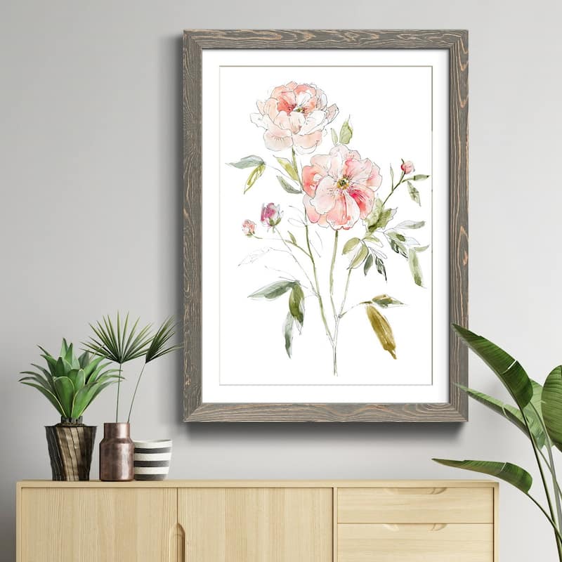Sketchbook Cottage Rose I-Premium Framed Print - Ready to Hang