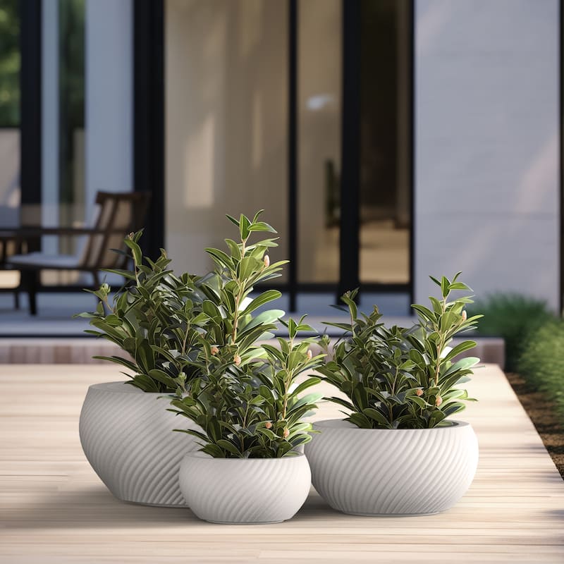 Textured Concrete Round Plant Pots / Large Indoor and Outdoor flower Planters