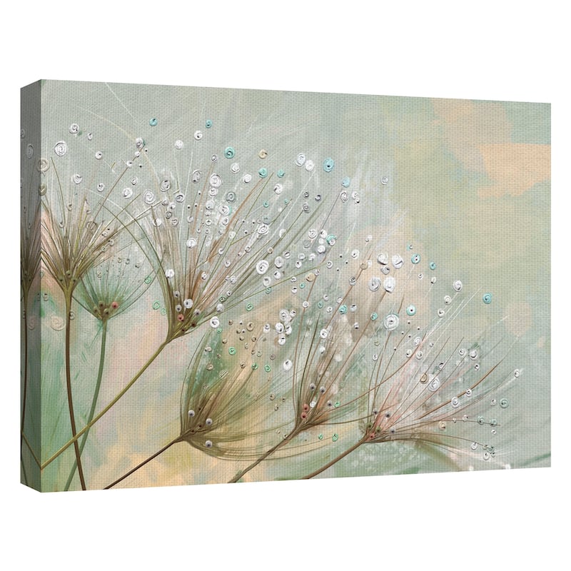 Dewdrop Colors by Studio Arts Canvas Art Print