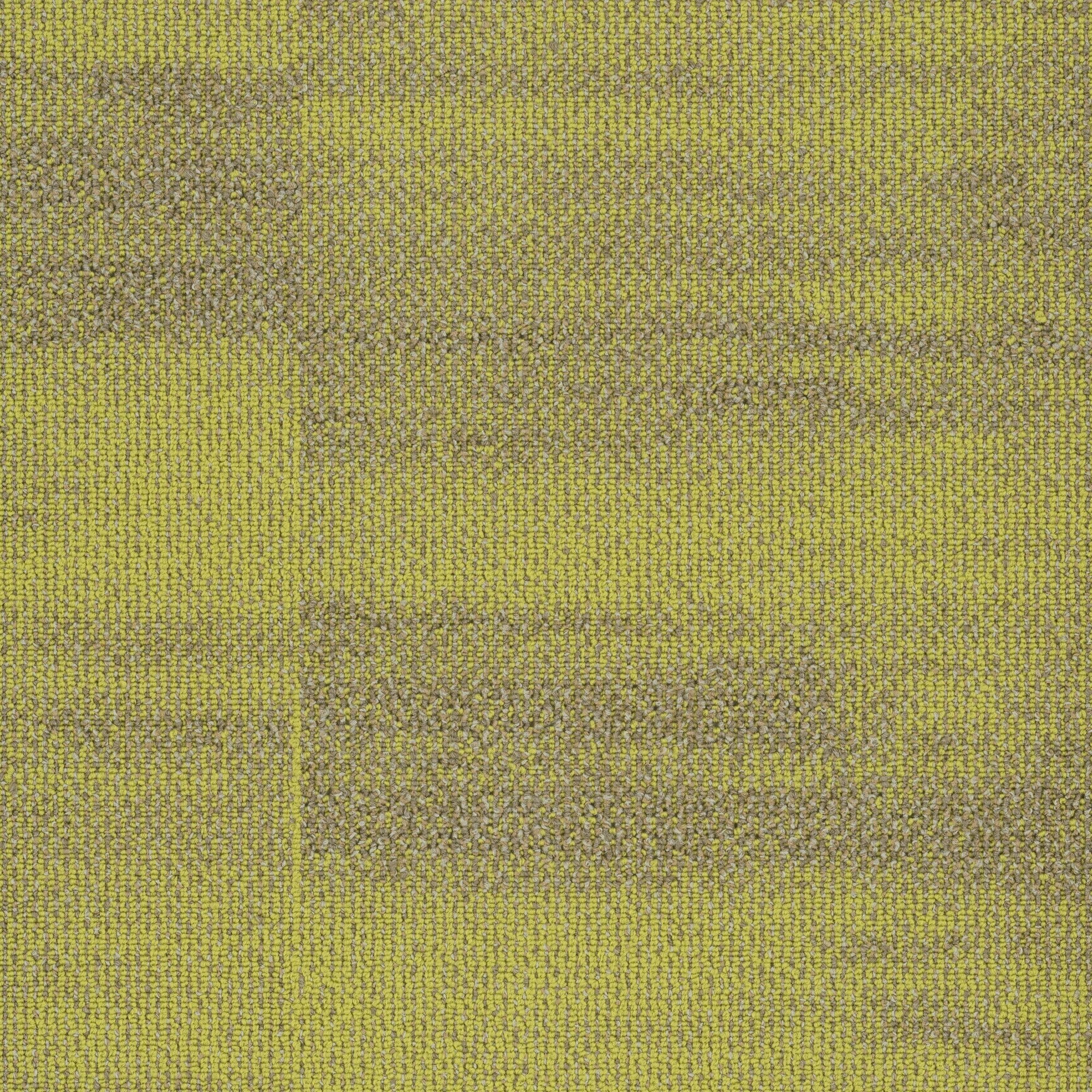 Shaw Philadelphia Commercial Ridges 24" x 24" Glue Down Carpet Tile -