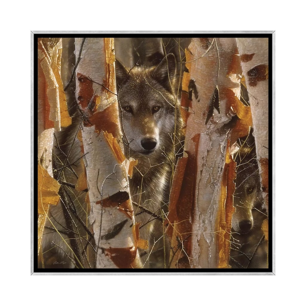 iCanvas "Wolf Guardian, Square" by Collin Bogle Framed