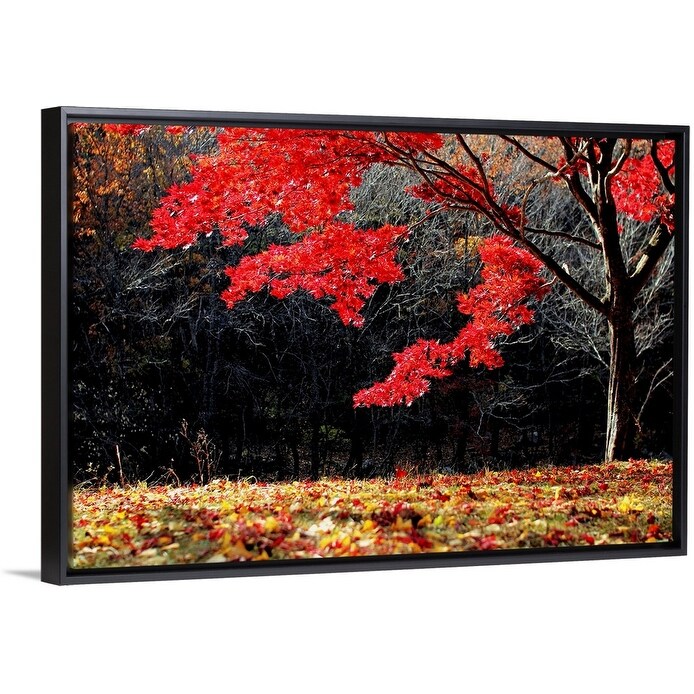 Shop Red Tree Black Float Frame Canvas Art Overstock 25502709
