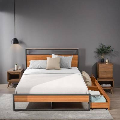 Queen Size Platform Bed Frame with Two Storage Drawers and Slat Support, Metal Bed with Sockets and USB Ports, Black