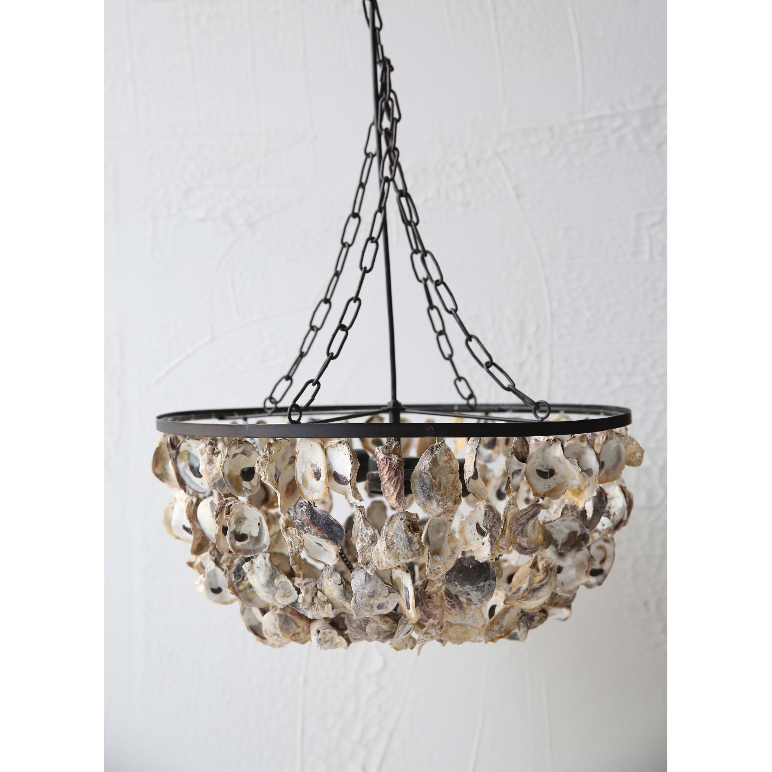 Oyster light fixture on sale
