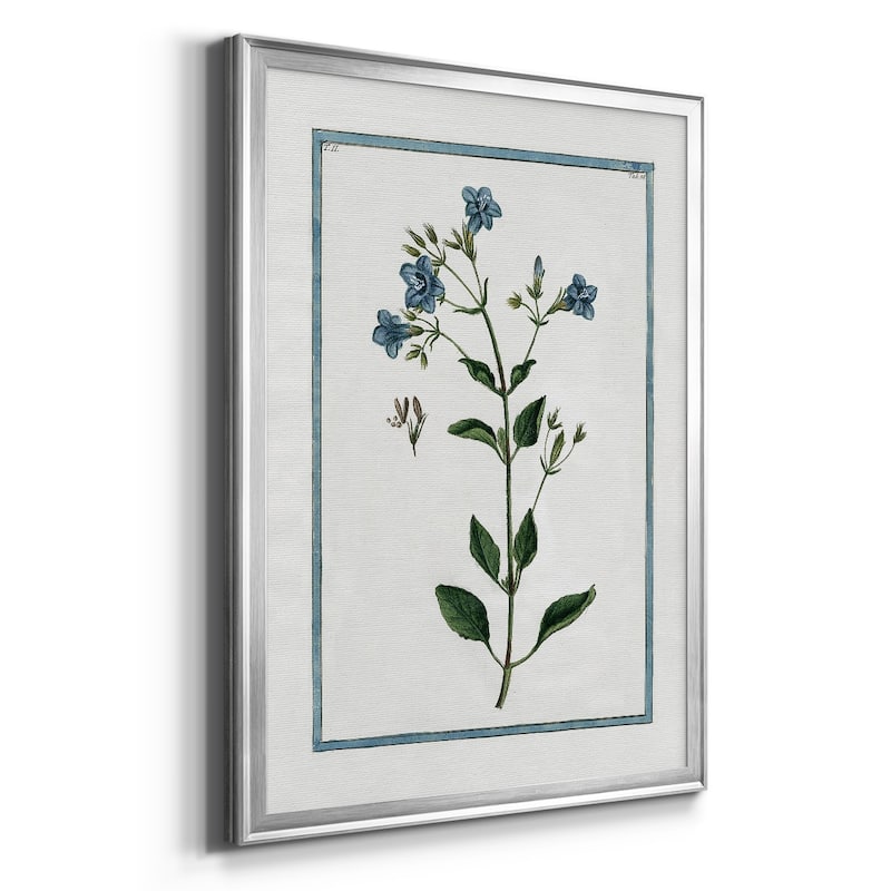 Shabby Chic Botanical II Premium Framed Print - Ready to Hang