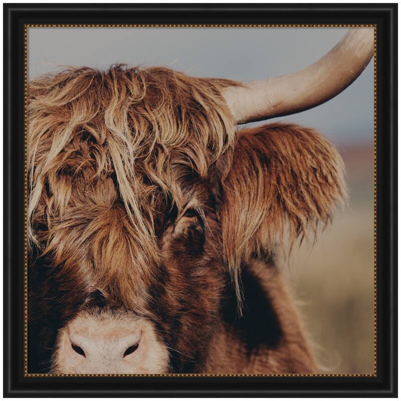 Kate and Laurel Nosy Highland by Laura Evans Framed Wall Art Print - 36 x 36 - Black
