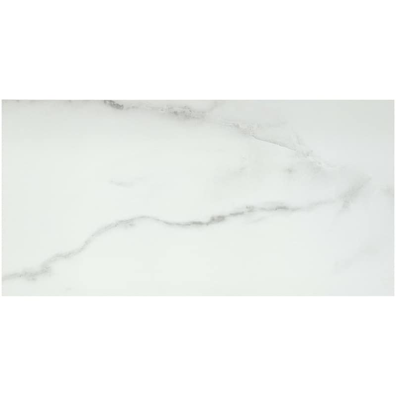Emser Tile F20VISC1224M Visconde - 12" x 24" Floor and Wall Tile - - Silver